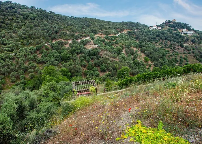 Chloe - Amazing View With Swimming Pool *
